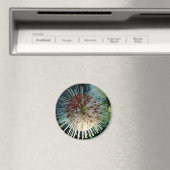 Aimant Bouton Bush (In Situ (Lave-vaisselle))