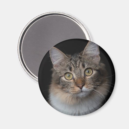 Aimant bouton chat (Recto/Verso)