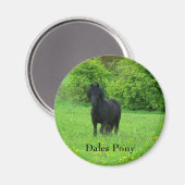Aimant Bouton Dales Pony (Recto/Verso)