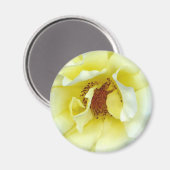 Aimant Bouton dernier Rose d'été (Recto/Verso)