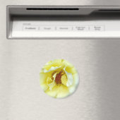 Aimant Bouton dernier Rose d'été (In Situ (Lave-vaisselle))