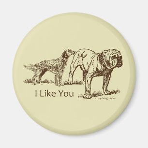 Aimant Bouton des nids de chien