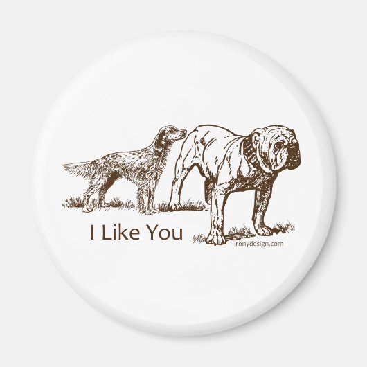 Aimant Bouton des nids de chien (Devant)