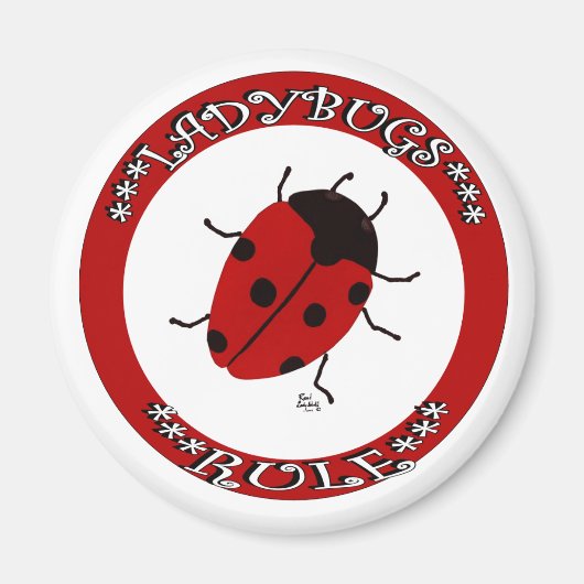 Aimant Bouton Ladybug (Devant)