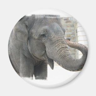 Aimant Bouton rond d'éléphant de son de la trompette