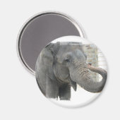 Aimant Bouton rond éléphant trompette (Recto/Verso)