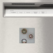 Aimant Boutons (In Situ (Lave-vaisselle))