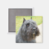 Aimant Bouvier des Flandres (Recto/Verso)