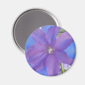 Aimant Bowen (Recto/Verso)