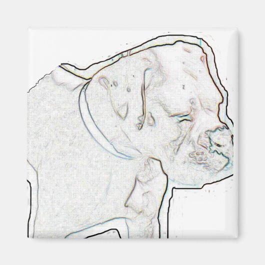 Aimant Boxe blanche (Devant)