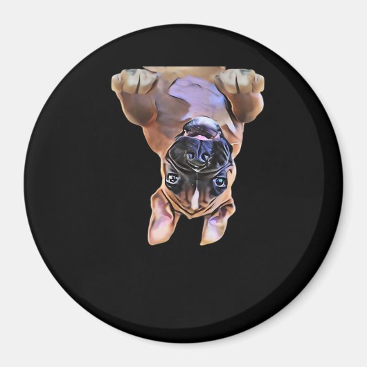 Aimant Boxe Peekaboo (Devant)