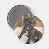 Aimant Boxer Baby ! (Recto/Verso)