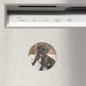 Aimant Boxer Baby ! (In Situ (Lave-vaisselle))