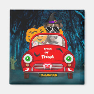 Aimant Boxer Chien Conduite Voiture Effrayant Halloween
