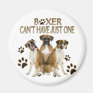 Aimant Boxer ne peut pas avoir qu'un cadeau