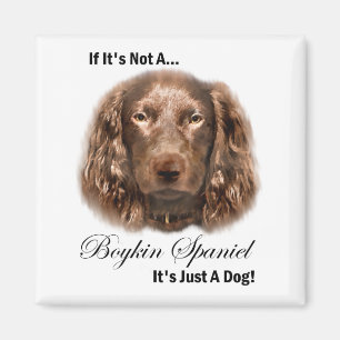 Aimant Boykin Spaniel