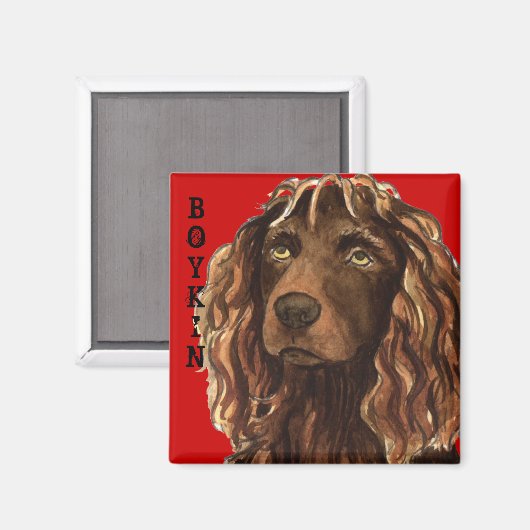 Aimant Boykin Spaniel Color Block (Recto/Verso)