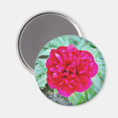 Aimant Bozur (Recto/Verso)