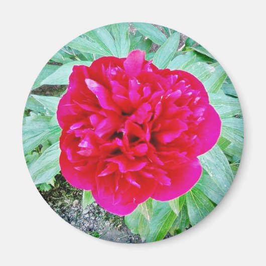 Aimant Bozur (Devant)