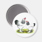 Aimant Brahma : Lumière (Recto/Verso)