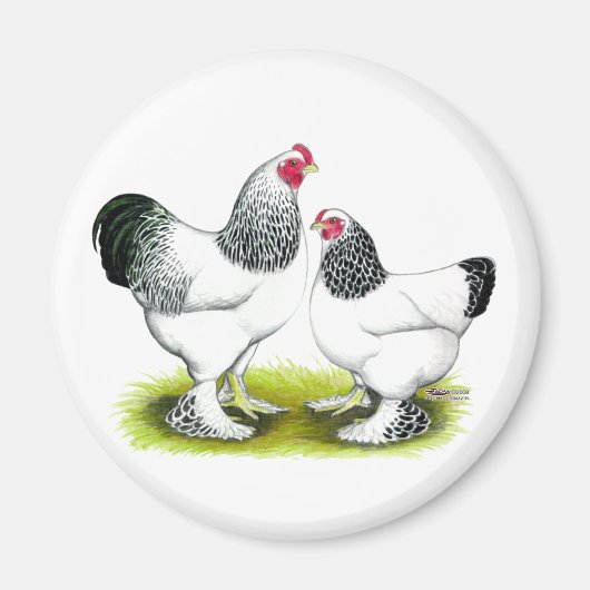 Aimant Brahma : Lumière (Devant)