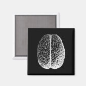 Aimant Brains ! (Recto/Verso)