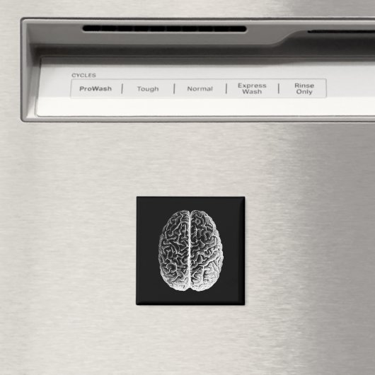 Aimant Brains ! (In Situ (Lave-vaisselle))