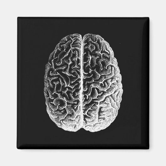 Aimant Brains ! (Devant)