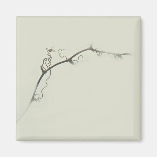 Aimant Bramble Tendrils dans le brouillard - Minimalisme (Devant)