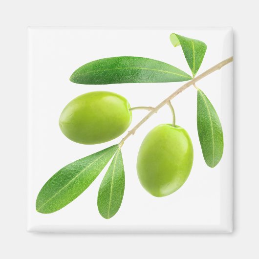 Aimant Branche avec olives vertes (Devant)