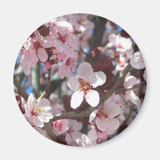 Aimant Branche de fleurs roses Printemps Floral (Devant)