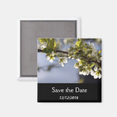Aimant branche de floraison de cerisier blanc ressort (Recto/Verso)