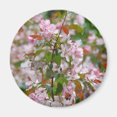 Aimant Branche délicate avec fleurs pommier (Devant)