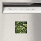 Aimant Branches (In Situ (Lave-vaisselle))
