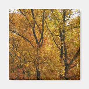 Aimant Branches de feuilles jaunes couleur automne lumine