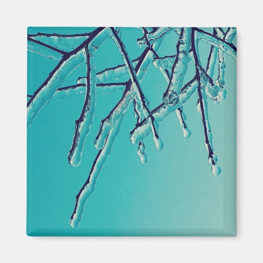 Aimant branches de glace (Devant)