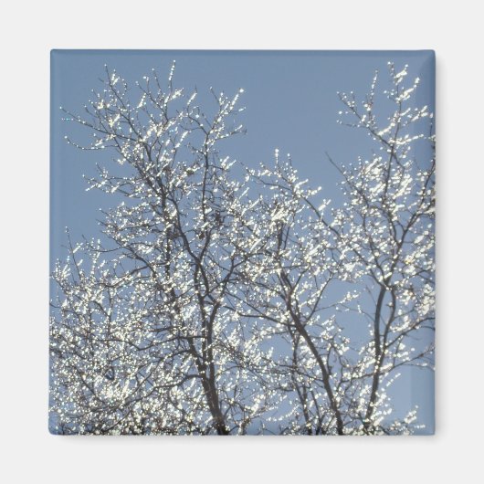Aimant Branches Icy dans le ciel bleu d'hiver (Devant)
