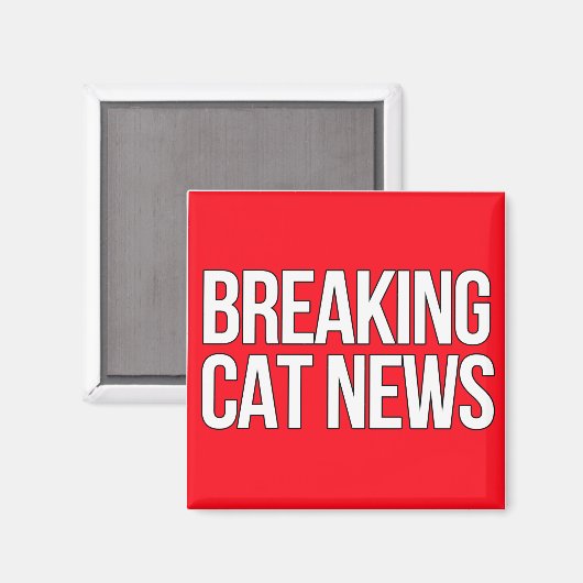 Aimant Breaking Cat News (Recto/Verso)