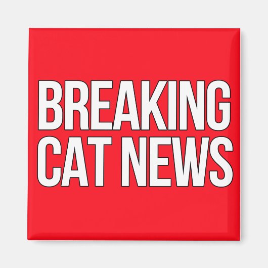 Aimant Breaking Cat News (Devant)