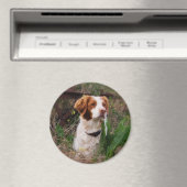 Aimant Bretagne (In Situ (Lave-vaisselle))