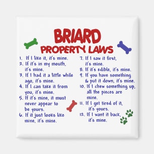 Aimant BRIARD, propriété Lois 2