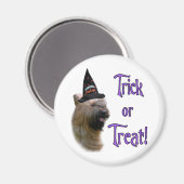 Aimant Briard Trick (Recto/Verso)