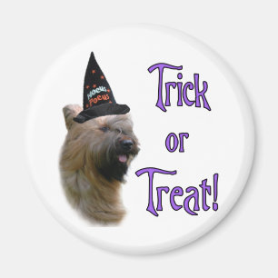 Aimant Briard Trick
