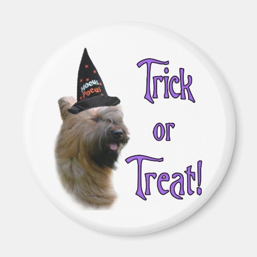Aimant Briard Trick (Devant)