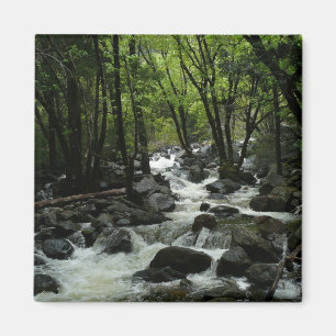 Aimant Bridalveil Creek dans le parc national de Yosemite