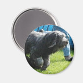 Aimant Bride (Recto/Verso)