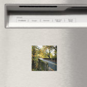 Aimant Bridge at Latourell Falls, Oregon (In Situ (Lave-vaisselle))