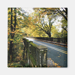 Aimant Bridge at Latourell Falls, Oregon