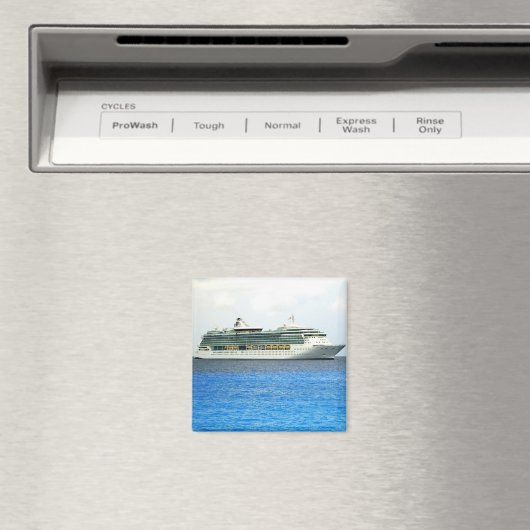 Aimant Brillance aux Caymans (In Situ (Lave-vaisselle))