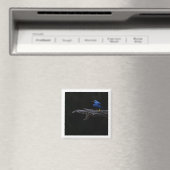 Aimant brillant (In Situ (Lave-vaisselle))